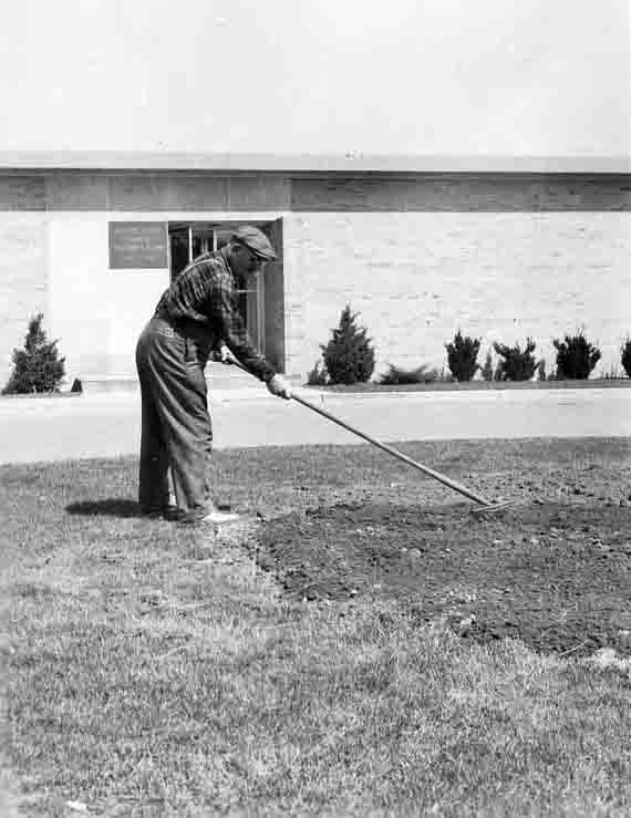 1958 Raillon, Henery office garden